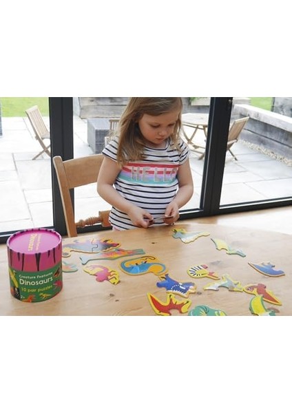 Features: Dinosaurs: A Pair Puzzle