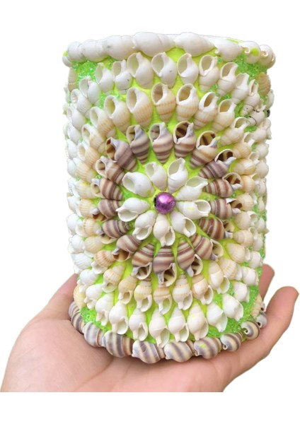 Deniz Kabuğu Kalem Tutucu Süsleri (Yurt Dışından)