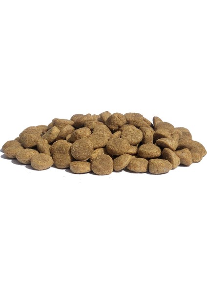 Hobidog Kuzu Etli Yetişkin Köpek Maması 15KG fiyatları