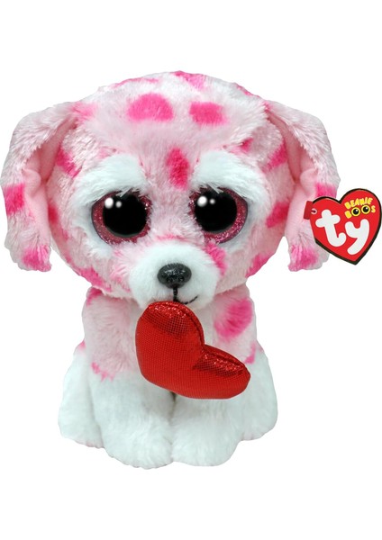 Rory Dog Val Reg