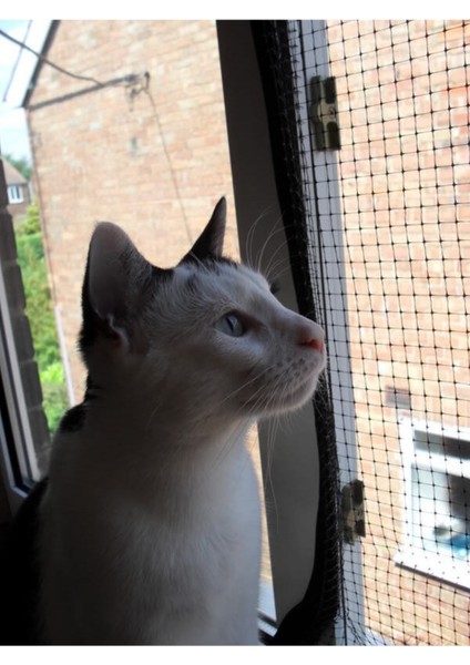 Dayanıklı 1X5M Plastik Balkon ve Bahçe Tel Ağ, Kuş ve Kedi Güvenliği Için Mükemmel