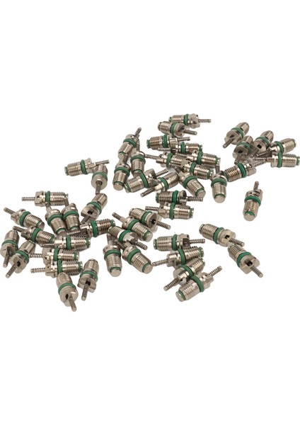 50 Adet R134A Araba Klima Makara Çelik Basınca Dalı Hvac Ac Vana Çekirdek Kiti Araç Için (Yurt Dışından) fırsatları