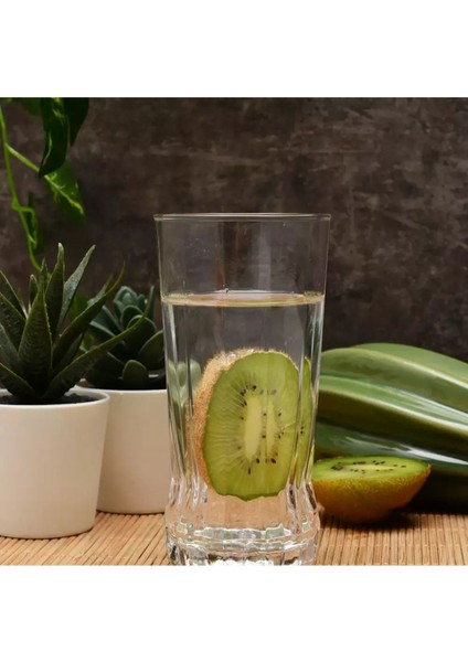 6'lı Meşrubat Bardağı Seti, 285 Cc, Şık ve Kullanışlı Tasarım