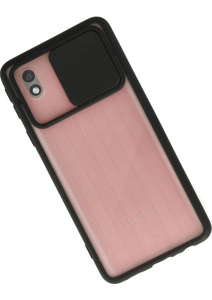 Samsung Galaxy A01 Core Kılıf Palm Buzlu Kamera Sürgülü Silikon - Siyah - NEONX6153-7391