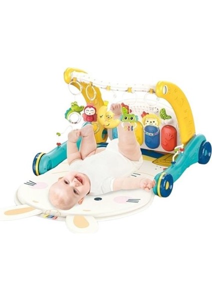 Nessiworld BIB6015 -Vardem Piyanolu 2 In 1 Bebek Yürüteci ve Tavşan Desenli Mavi Oyun Halısı