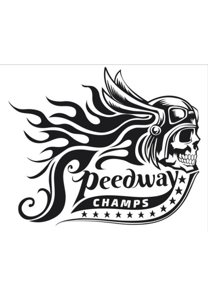 Peedway A4 Ebadlı Sticker Arma