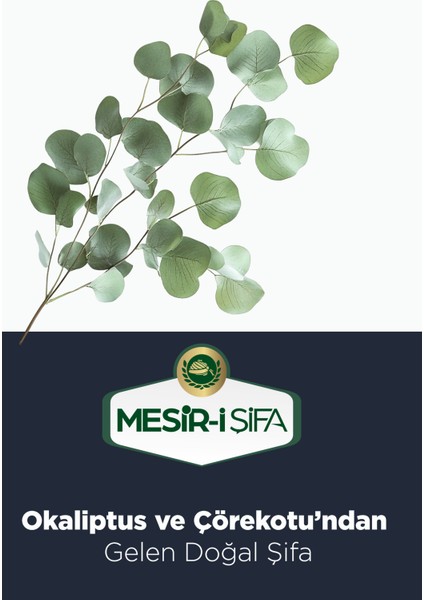 Mesir- i Şifa Çörek Otlu ve Okaliptuslu Kahve Bitkisel Karışımlı Çözünebilir Kahve 75GR indirimleri
