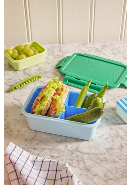 Plastik Lunchbox - Mavi ve Yeşil fiyatları