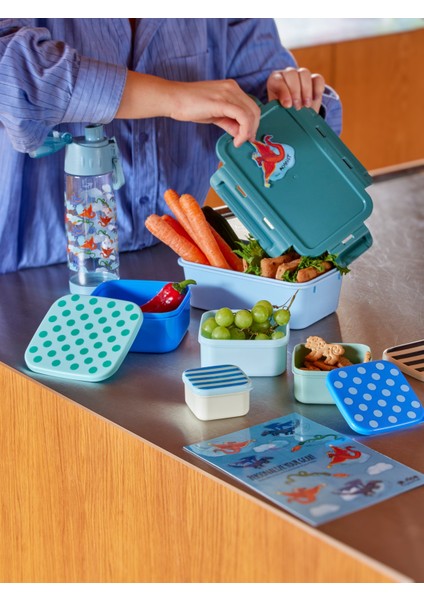 Stickers Lunchbox - Ejderha modelleri