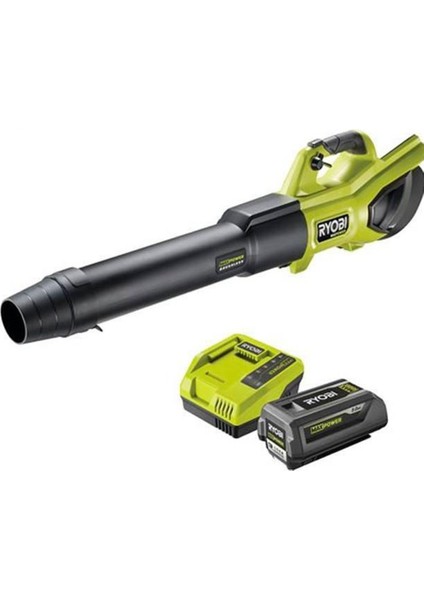 RY36BLXB-150 36V Kömürsüz Motor Akülü Üfleme Makinası (5133005665) fiyatları