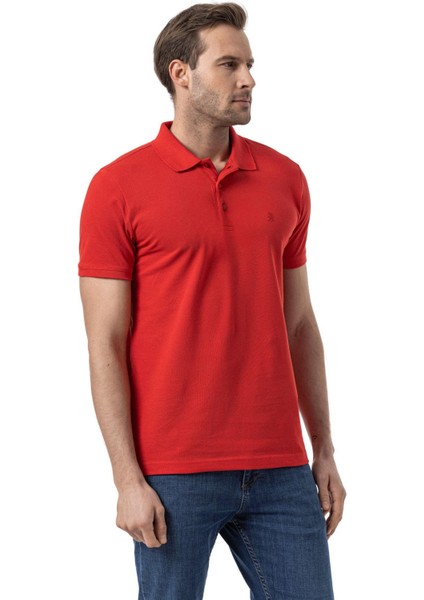 Klasik Polo Yaka T-Shirt modelleri