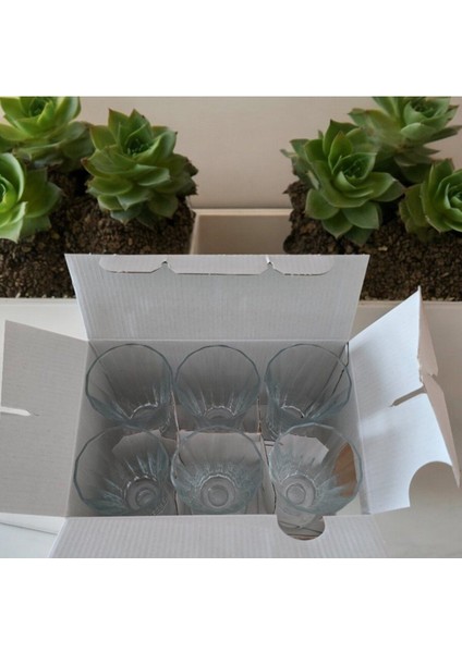 Altı Adet Parlak Beyaz Tatlı, Dondurma ve Kahve Yanı Bardağı Seti fırsatları