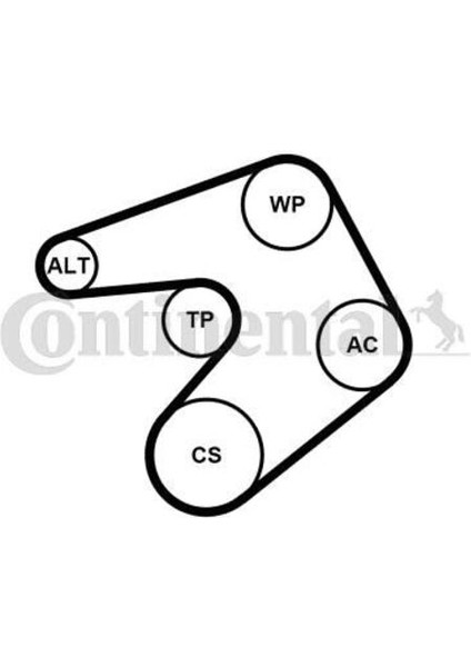 Contıtech 6PK1244K1 Alternator Gergı Kıtı P308 2.0hdı 07 407 2.0hdı 08 508 2.0hdı 9