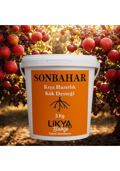 Sonbahar Ağaç Besini