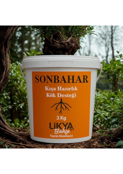Sonbahar Ağaç Besini modelleri