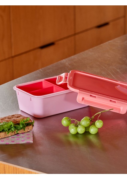 Plastik Lunchbox - Pembe ve Kırmızı modelleri