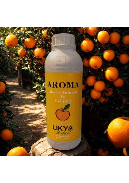 Aroma Ağaç Besini