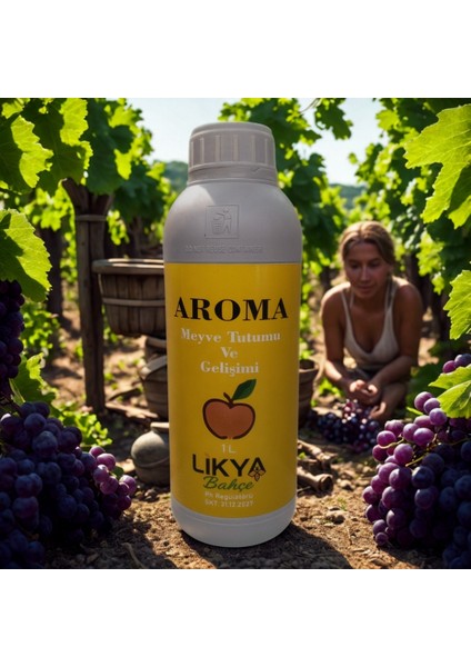 Aroma Ağaç Besini modelleri