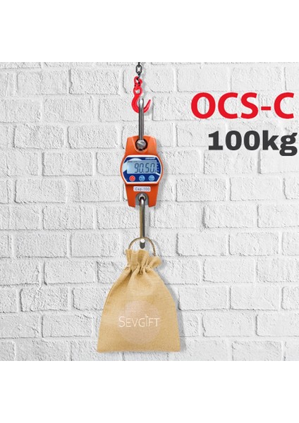 Desis Ocs-C Dijital Vinç Baskülü (100KG / 20GR) modelleri