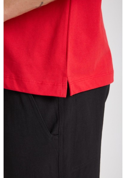 Erkek %100 Pamuk Relax Nakış Detaylı T-Shirt fiyatları