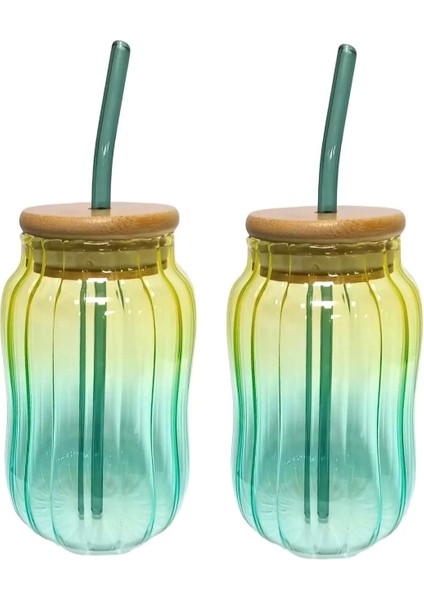 Iki Adet Yeşil Bambu Kapaklı Pipetli Isıya Dayanıklı Cam Bardak Seti modelleri