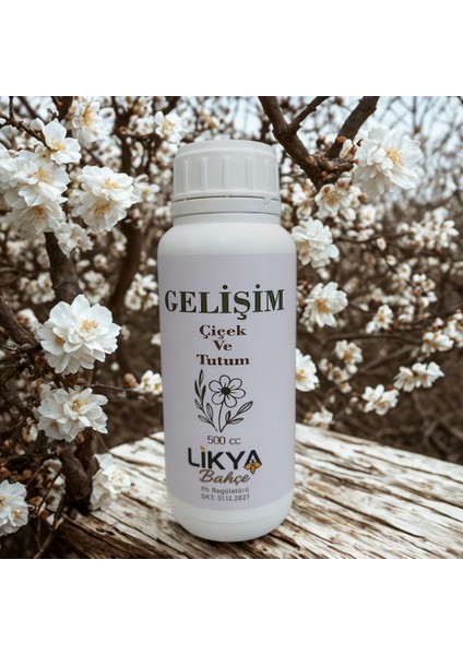 Gelişim Sebze ve Meyve Bitki Besini fiyatları