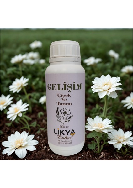 Gelişim Sebze ve Meyve Bitki Besini fırsatları