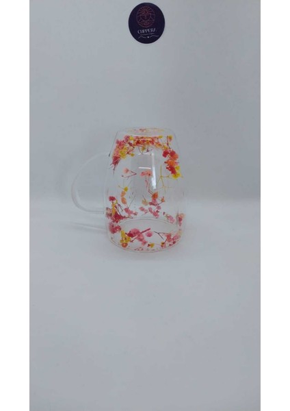 Renkli Çift Çidarlı Kurutulmuş Canlı Çiçekli Isıya Dayanıklı Kupa