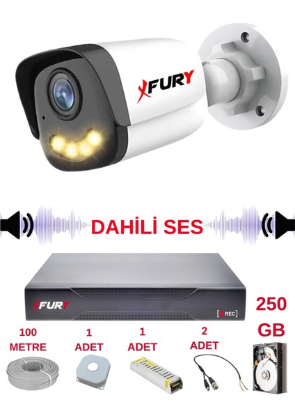 1 Li Sesli Gece Renkli Görüş Güvenlik Kamerası Su Geçirmez Güvenlik Kamerası Seti 5590S 250GB