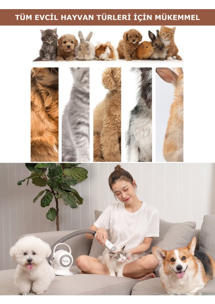 Tüy Tıraş Makinası Furminator / Vücut Pati Yüz Kulak Tarama Kesme / P1 Pro Düşük Desibel Kedi Köpek