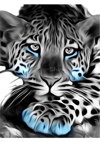 Yeni Dijital Yağlıboya Retro Sanat Kültür Dijital Yağlıboya El Yapımı Yetişkin Çocuk Hediye Duvar Dekorasyonu Dijital Sanat (Yurt Dışından)