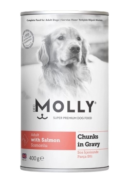 Somonlu Gravy Soslu Yetişkin Köpek Konservesi 400 gr modelleri