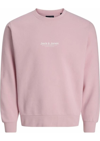 Jack Jones Vester Bro Bisiklet Yaka Erkek Sweat 12266164