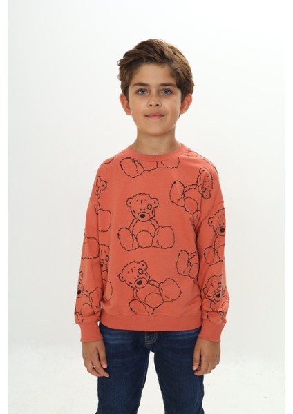 Erkek Çocuk Komple Ayı Baskılı Sweatshirt fiyatları