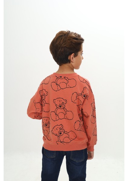 Erkek Çocuk Komple Ayı Baskılı Sweatshirt modelleri