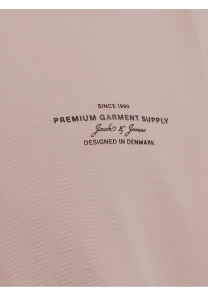 Jack Jones Blachad Brandıng Erkek Tişört 12259357 indirimleri