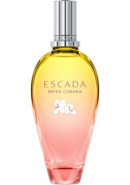 Brisa Cubana EDT 100 ml Kadın Parfüm fiyatları