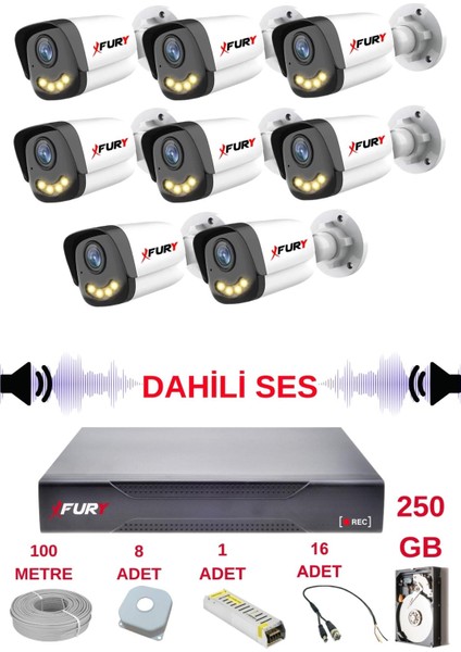 8 Li Sesli Gece Renkli Görüş Güvenlik Kamerası Su Geçirmez Güvenlik Kamerası Seti 5590S 250GB
