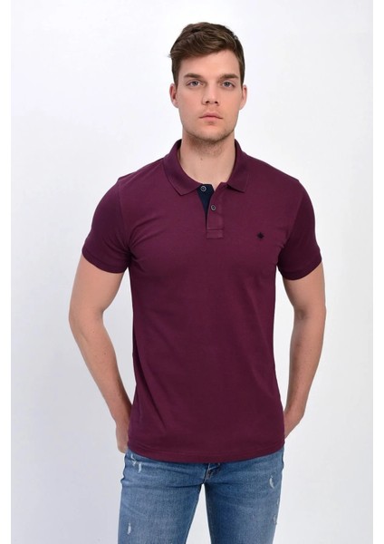 Erkek Mürdüm Polo Yaka Likralı T-Shirt T621 modelleri