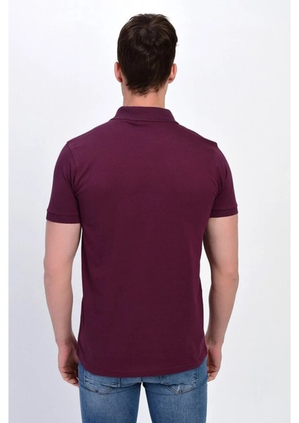 Erkek Mürdüm Polo Yaka Likralı T-Shirt T621 indirimleri