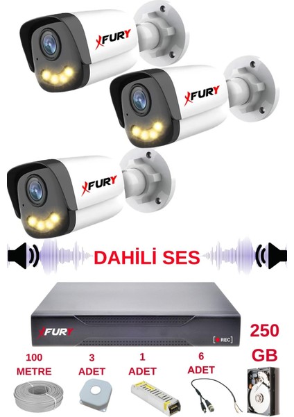 3 Lü Sesli Gece Renkli Görüş Güvenlik Kamerası Su Geçirmez Güvenlik Kamerası Seti 5590S 250GB