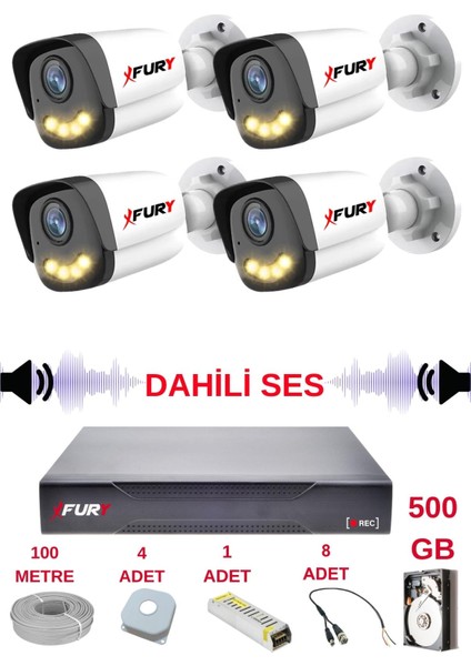 4 Lü Sesli Gece Renkli Görüş Güvenlik Kamerası Su Geçirmez Güvenlik Kamerası Seti 5590S 500GB