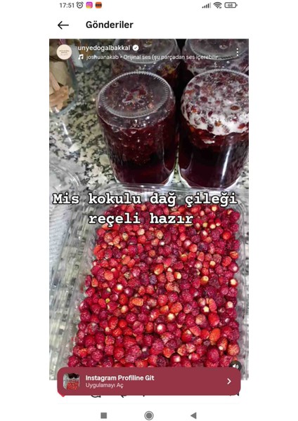 Dağ Çileği Reçeli