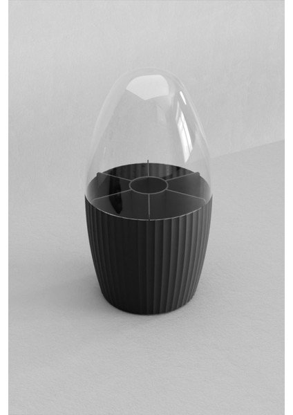 7 Bölmeli Siyah Makyaj Fırçası ve Kozmetik Organizer, Şeffaf Kapaklı, Pratik ve Şık