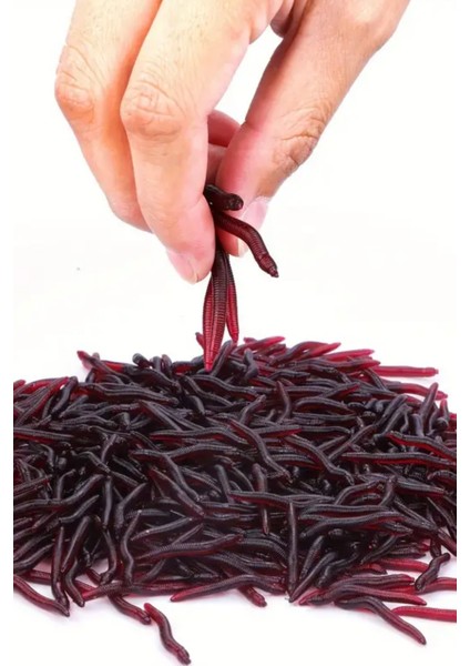 20 Adet Kokulu Silikon Balık Yemi Gerçek Görünümlü Yapay Solucan modelleri