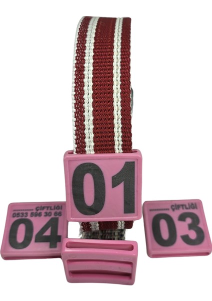450 Adet Pembe Renk Küçükbaş Hayvan Boyunluk Kemer ve Numaratör Takımı (Kemer+Numara) fırsatları