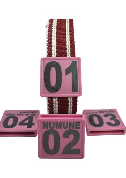 90 Adet Pembe Renk Küçükbaş Hayvan Boyunluk Kemer ve Numaratör Takımı (Kemer+Numara)