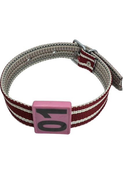 500 Adet Pembe Renk Küçükbaş Hayvan Boyunluk Kemer ve Numaratör Takımı (Kemer+Numara) modelleri