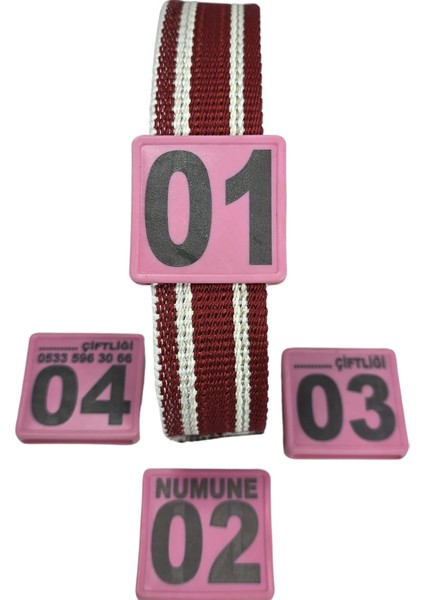 500 Adet Pembe Renk Küçükbaş Hayvan Boyunluk Kemer ve Numaratör Takımı (Kemer+Numara)