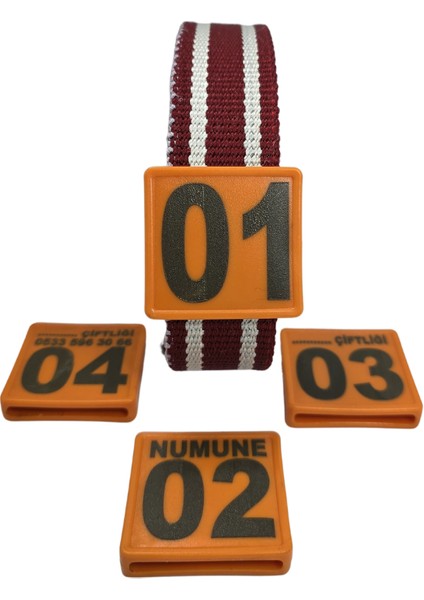 250 Adet Turuncu Renk Küçükbaş Hayvan Boyunluk Kemer ve Numaratör Takımı (Kemer+Numara)